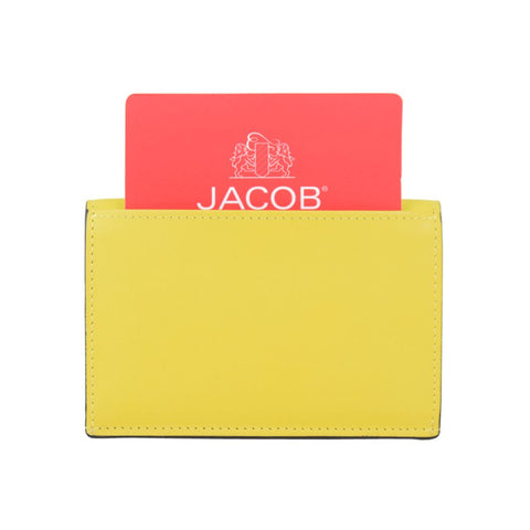 Compact Envelope Wallet